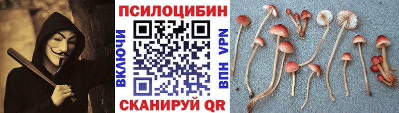 сколько стоит  Иркутск  ОМГ ОМГ   Галлюциногенные грибы ЛСД 