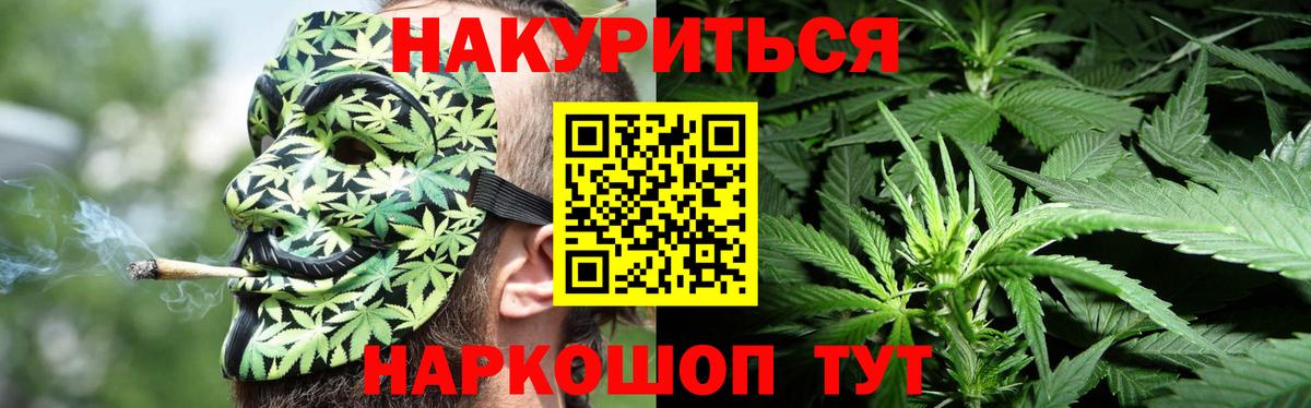 Бошки Шишки тримм  Вход с VPN  Бошки марихуана тримм  Иркутск  МАРИХУАНА индика 